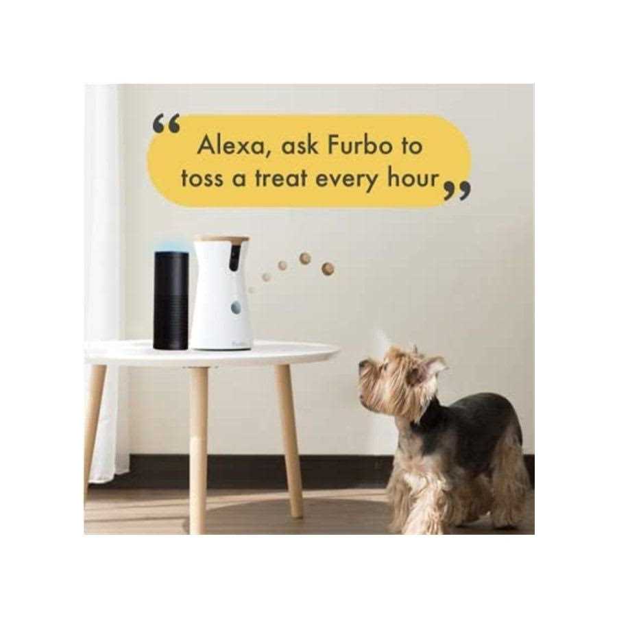 Dog Camera F5346