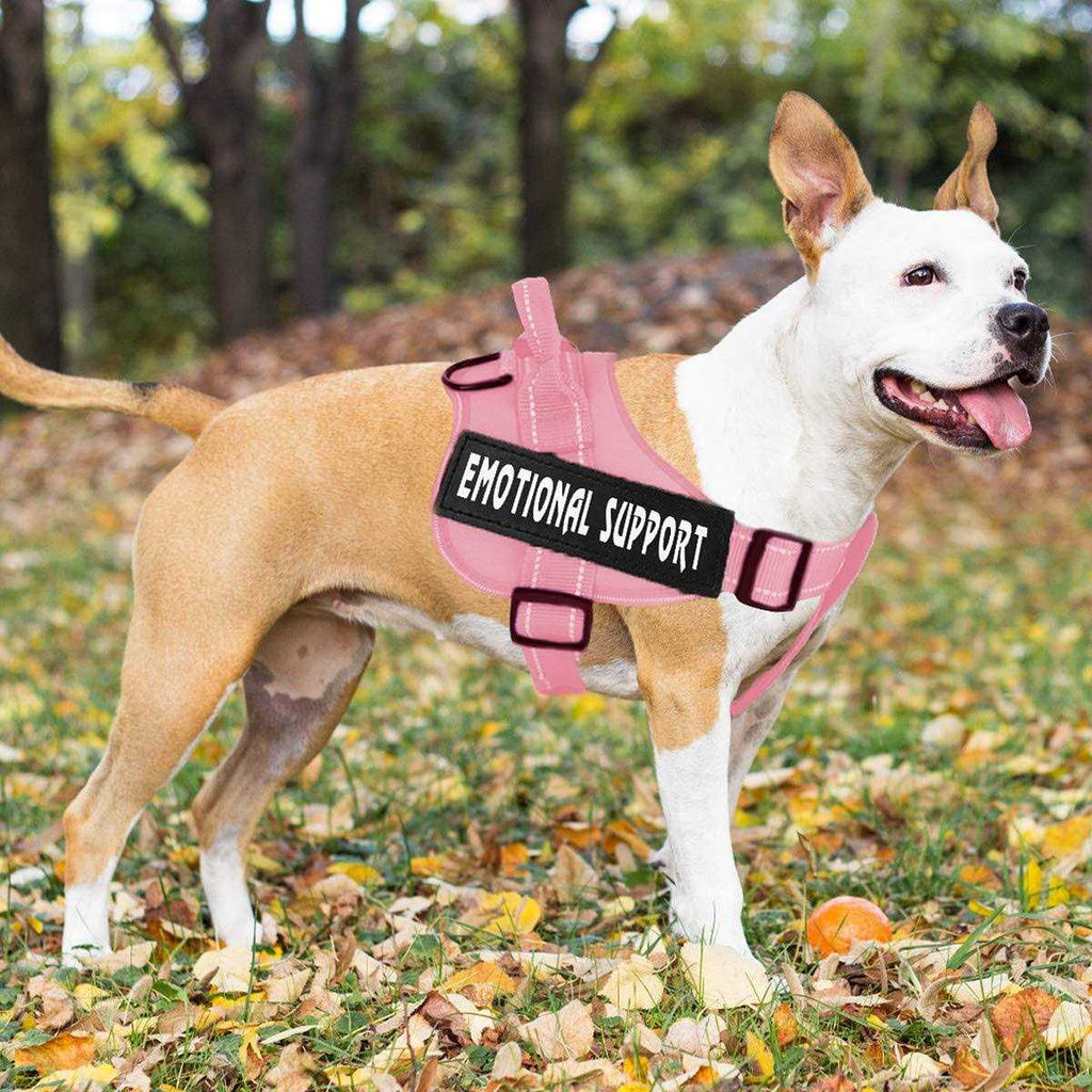 Reflective No-Pull Dog Harness with Adjustable Breathable Vest L816612