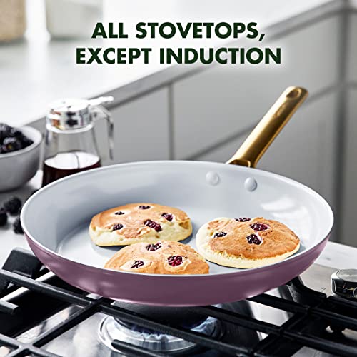 Hard Anodized Ceramic Nonstick Frying Pan Skillet Set, 10 and 12 Inch, Dishwasher Safe W75146