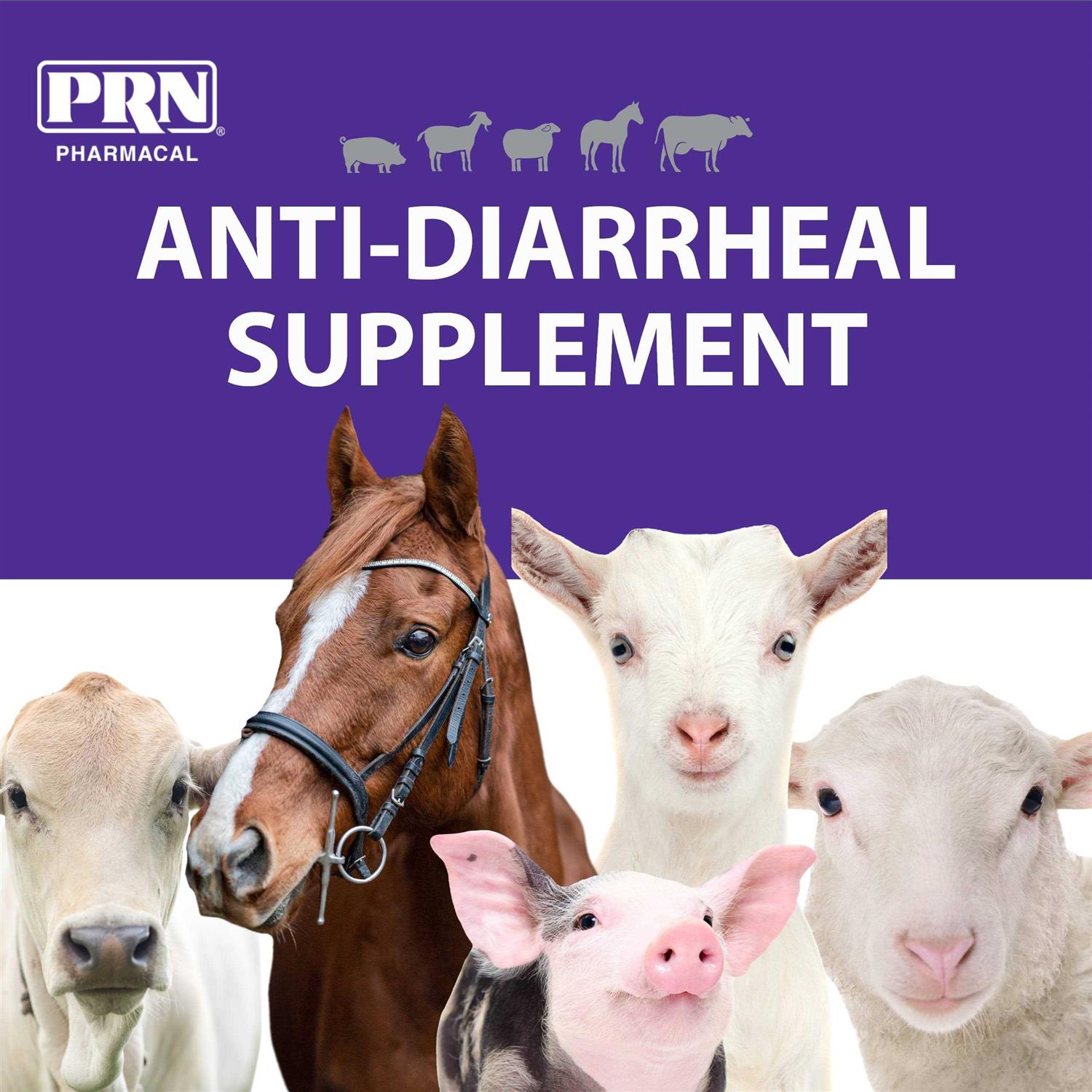 Endosorb Tablets for Pets O8291