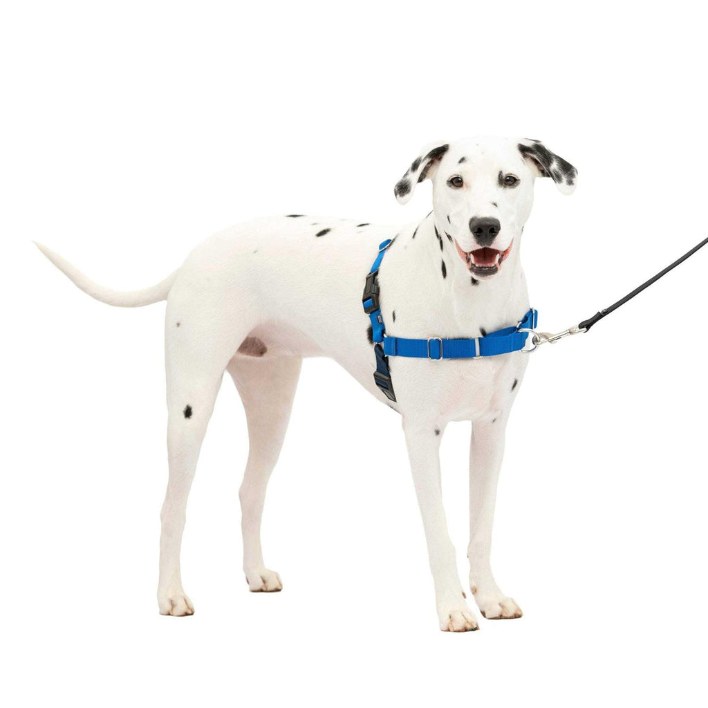 Dog Harness E8477