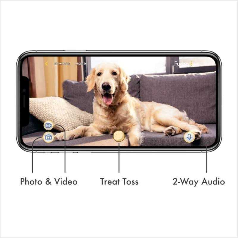 Dog Camera F5346
