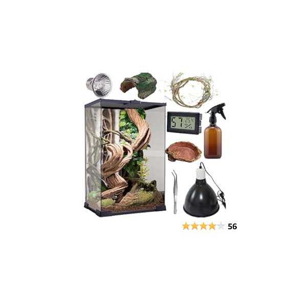 Reptile Terrarium 8 x 8 x 12 Vertical Habitat Tank Starter Kit W684541
