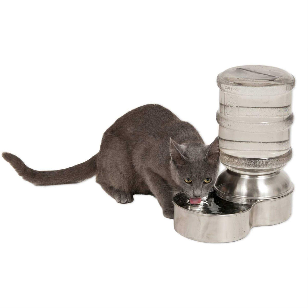 Stainless Steel Pet Waterer C8091