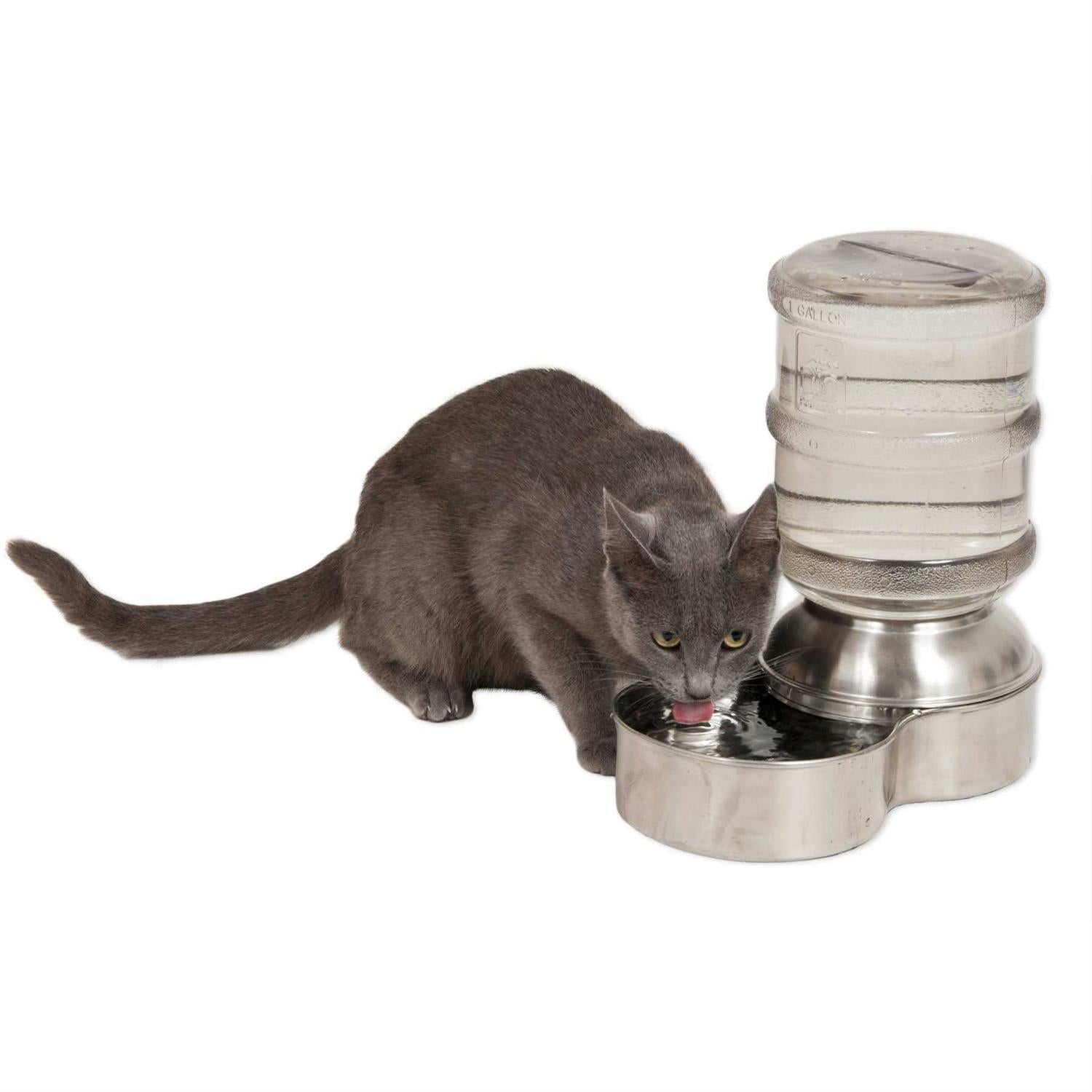 Stainless Steel Pet Waterer C8091