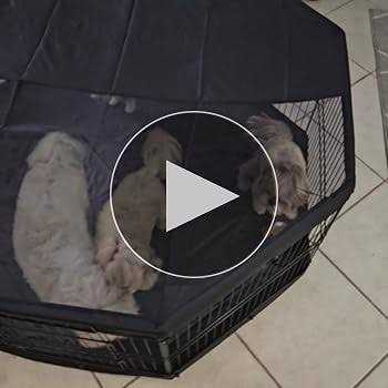 Dog Playpen, 8 Panels Foldable Metal Exercise Pen with Top Cover and Bottom Pad W319