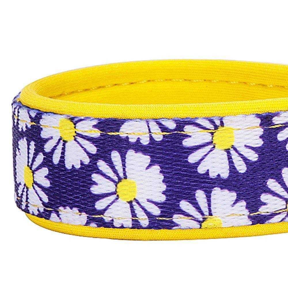 Dog Collar C415