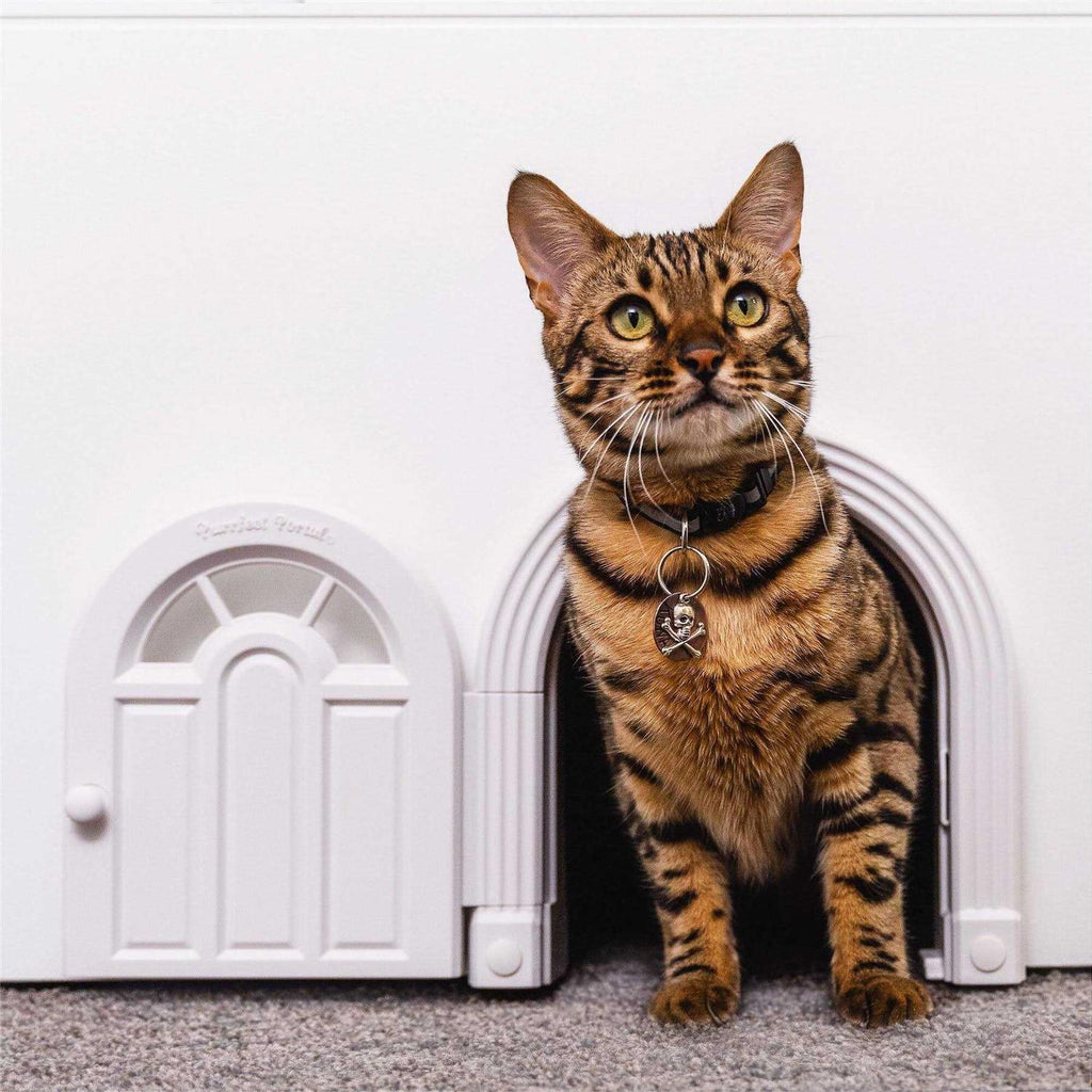 Purrfect Portal Interior Cat Door No-Flap Cat Door for Interior Door Cat Door Interior Door for Cats Up to 20 lbs - Pet Supplies online store