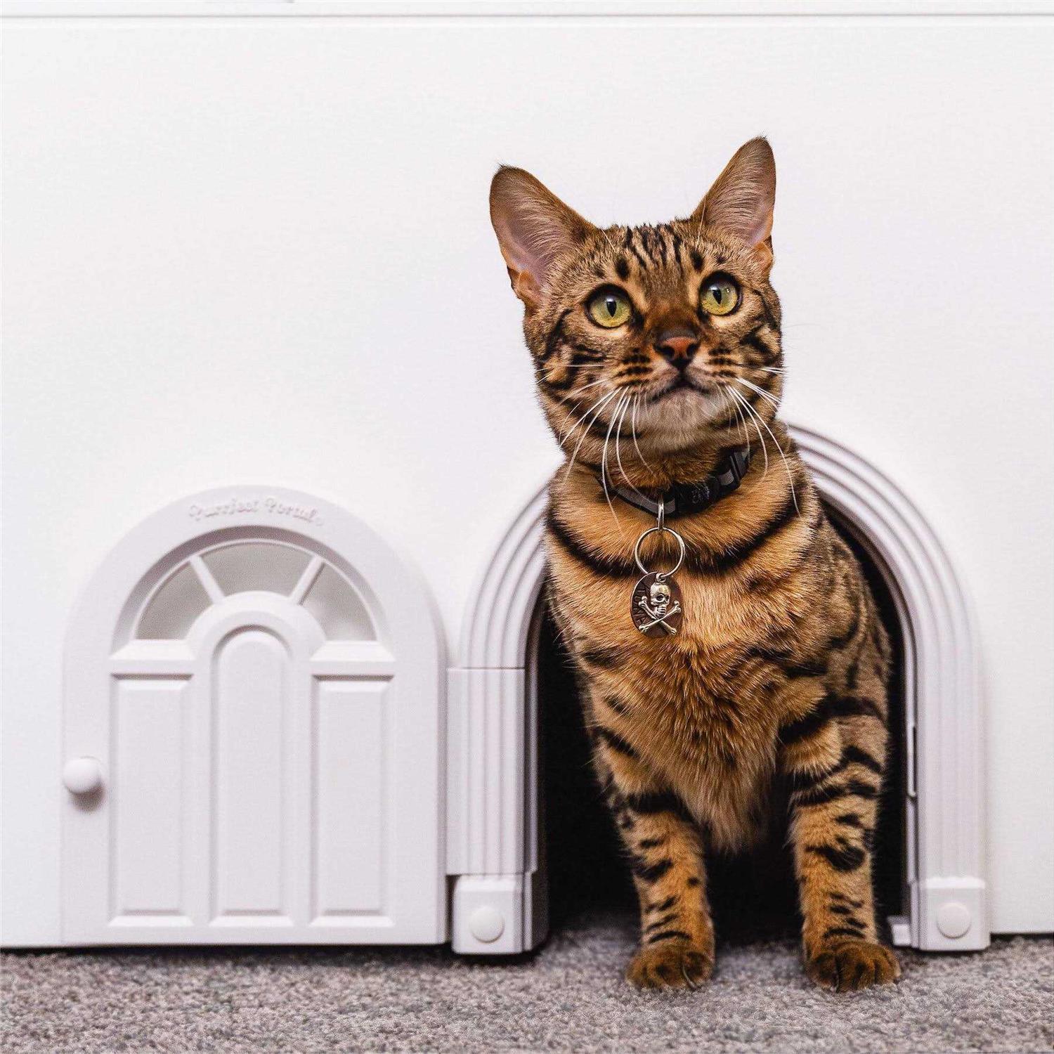 Purrfect Portal Interior Cat Door No-Flap Cat Door for Interior Door Cat Door Interior Door for Cats Up to 20 lbs - Pet Supplies online store