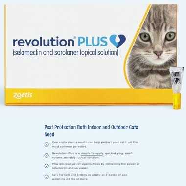 Topical Solution for Cats M16280
