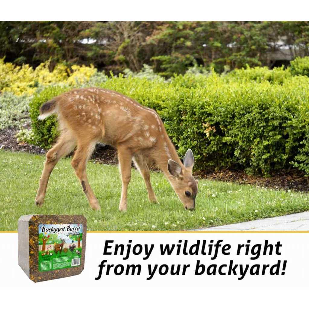 Wildlife Treat for Backyard Animals G51353