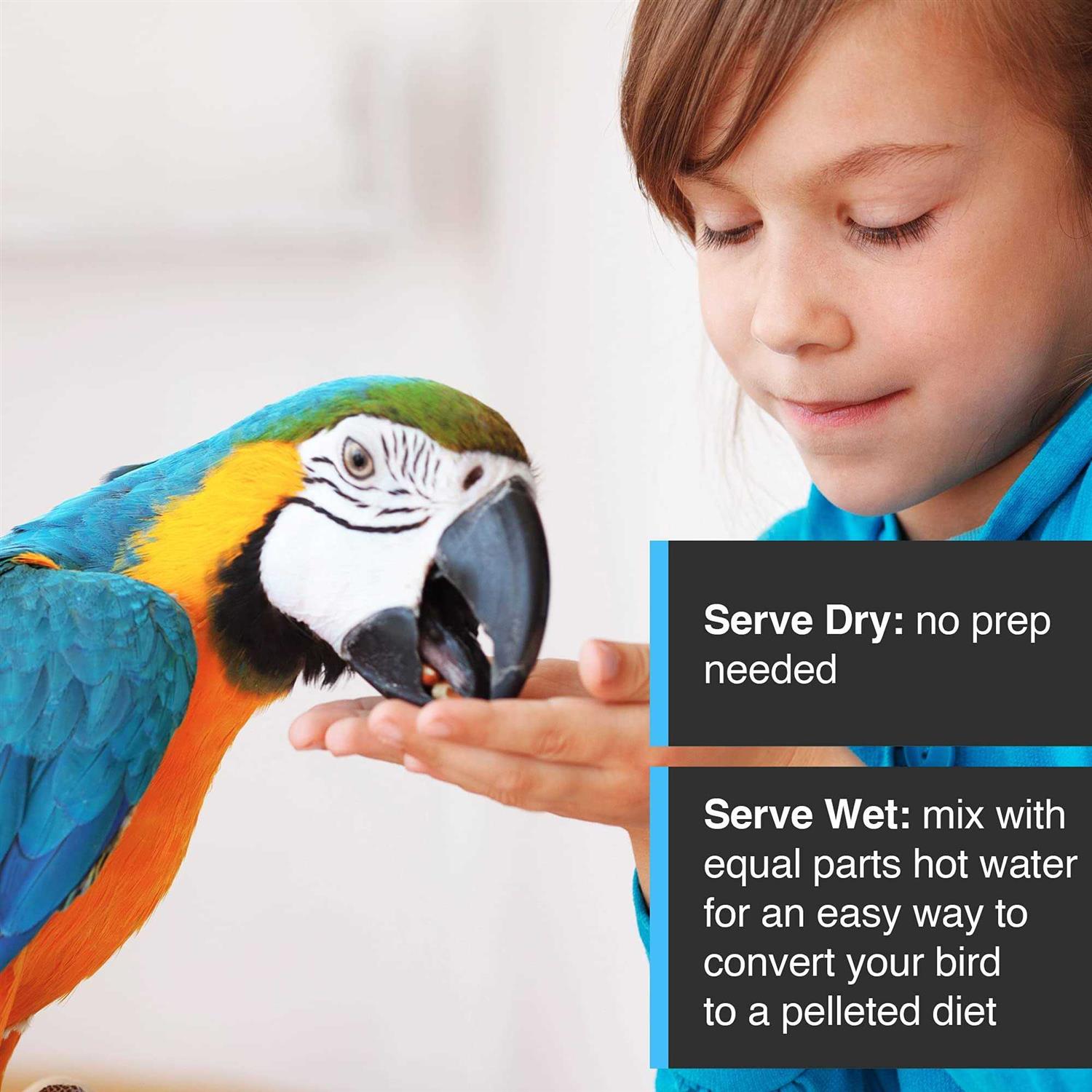 Enrichment Food for Small Parrots P235