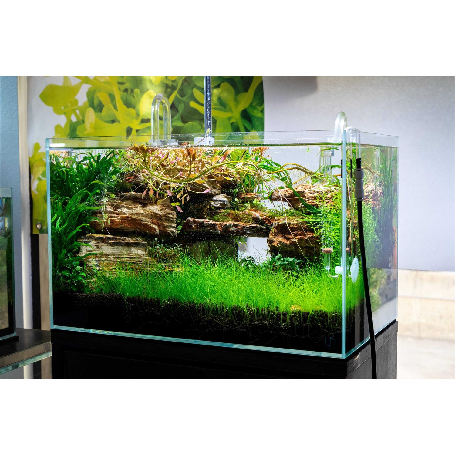 Rimless Aquarium Tank 9 Gallons D578