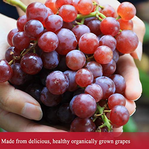 Organic Red Wine Vinegar, Raw & Unfiltered, 16.9 Oz M634