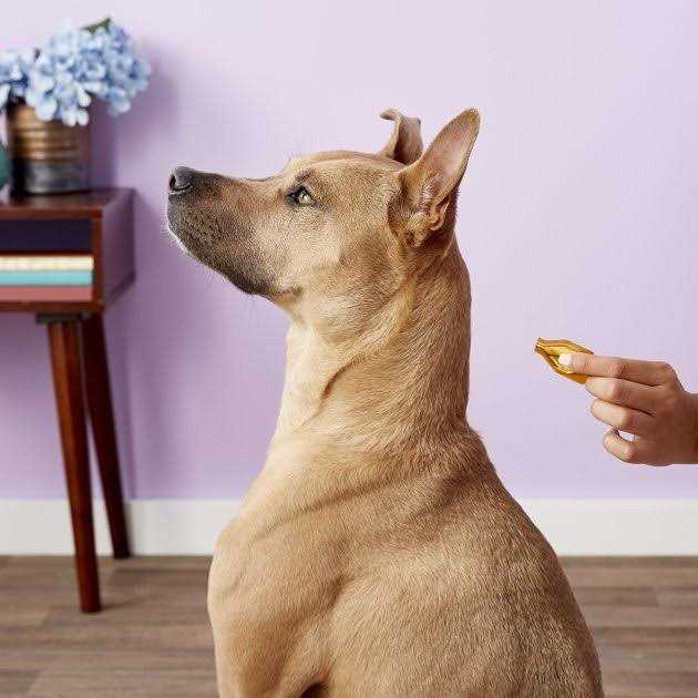 Essential 6 Spot-On for Dogs W641251