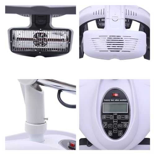 Wall Mounted Hair Dryer with Timer for Salon Use P554