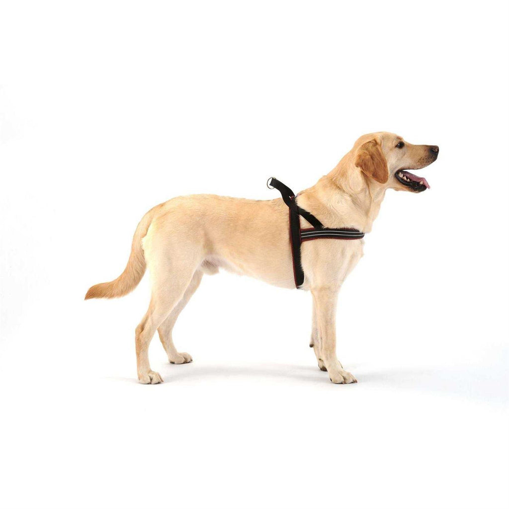 Sport Harness for Dogs G71865