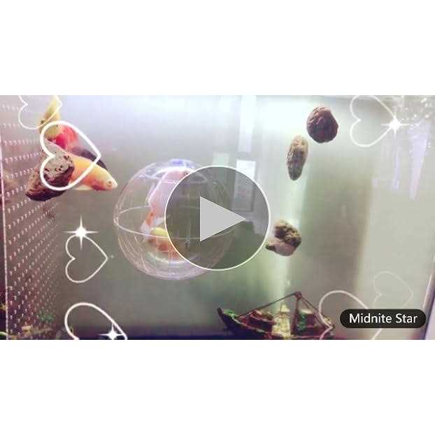 Transparent Hamster Exercise Ball for Small Pets L202