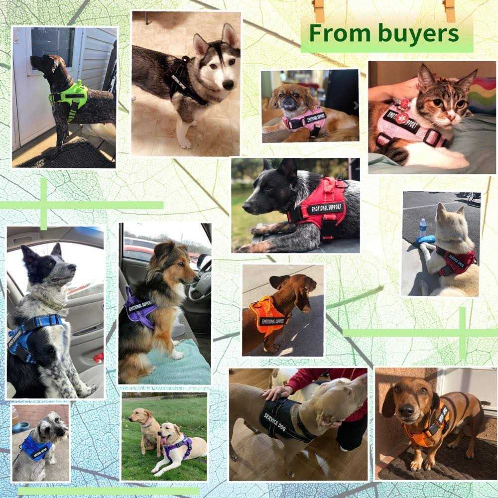 Reflective No-Pull Dog Harness with Adjustable Breathable Vest L816612