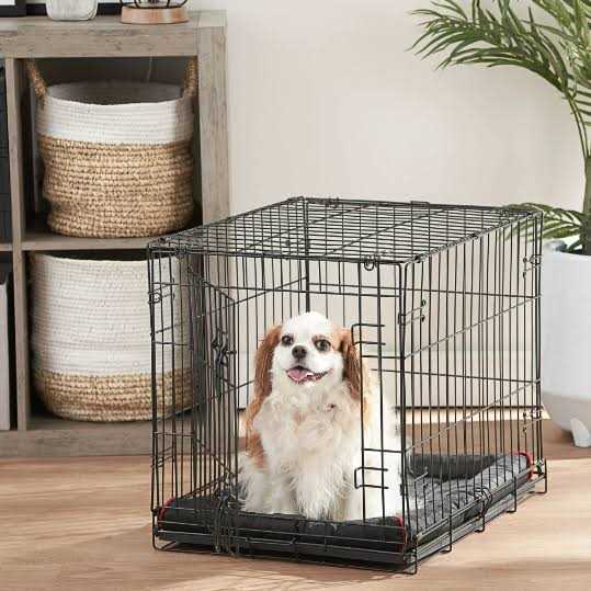 Folding Dog Crate with Divider X7544
