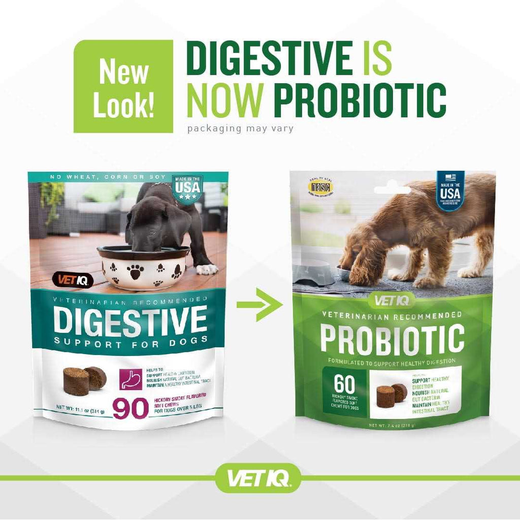 Probiotic Soft Chew Supplement for Dogs B83802