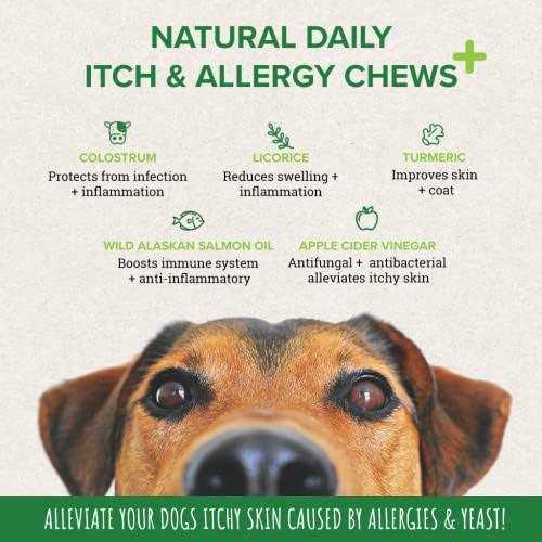 Itch & Allergy Chew Supplement for Dogs with Salmon Fish Oil L592284