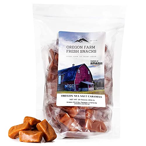 Salted Caramel Gourmet Candy with Sea Salt and Vanilla, Gluten Free, Soft Chewy, Individually Wrapped (16 oz) H68057