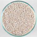 CaribSea Arag-Alive Special Grade Reef Sand - Pet Supplies online store