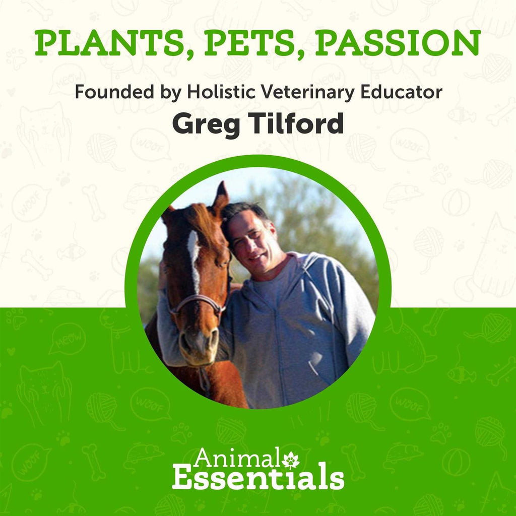 Slippery Elm Extract for Pets C673401