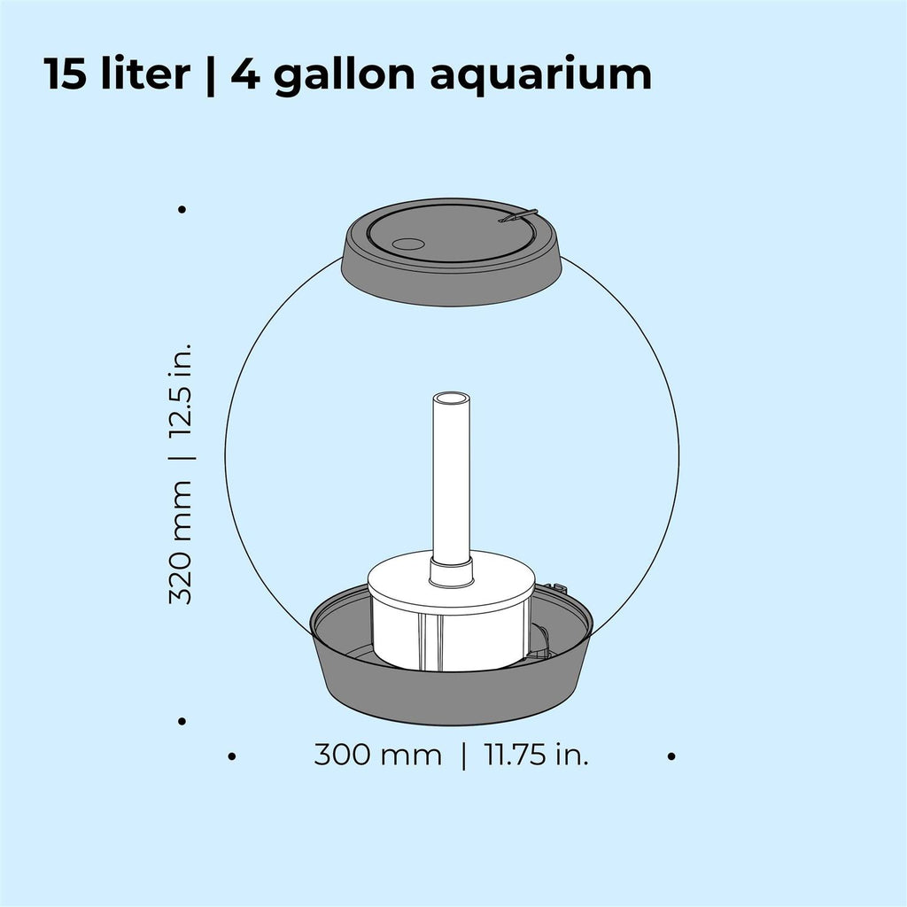 Classic Aquarium Collection D491211