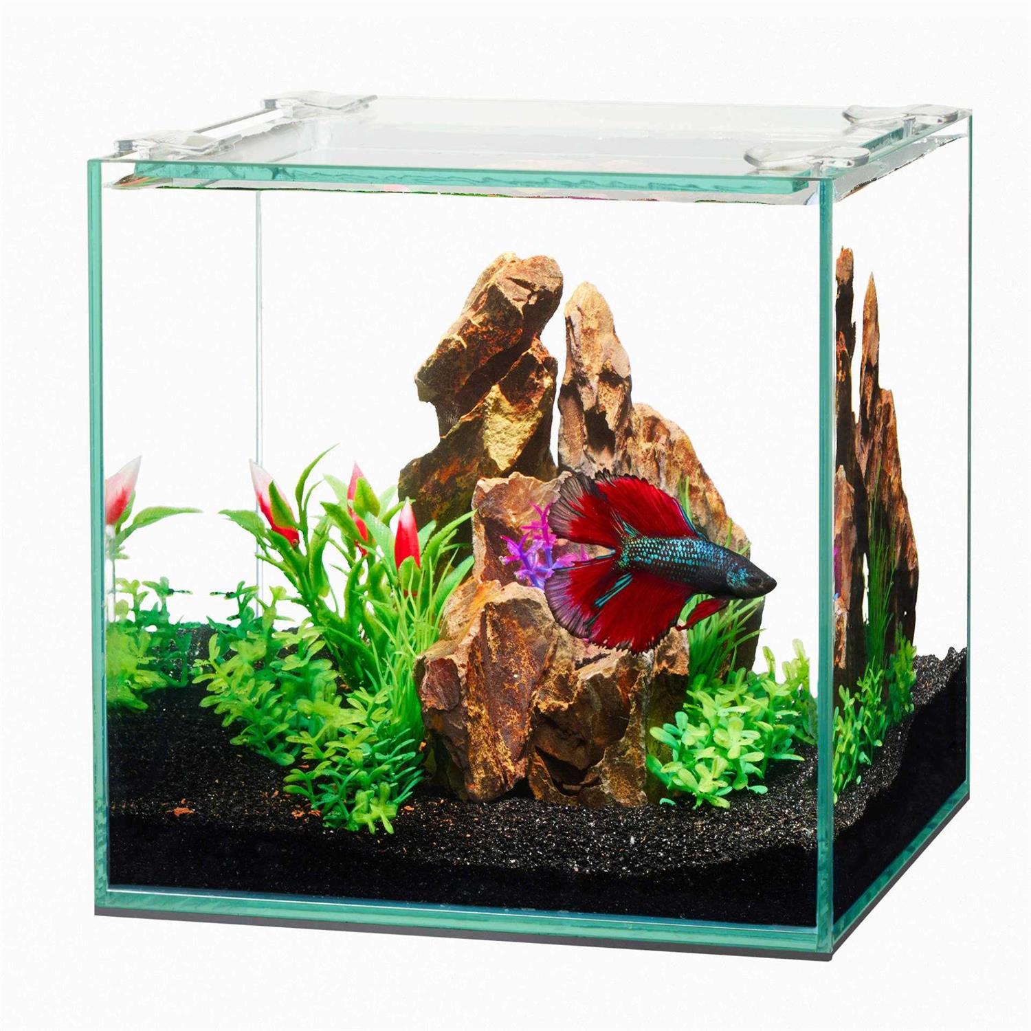 Rimless Rectangle Aquarium V4980