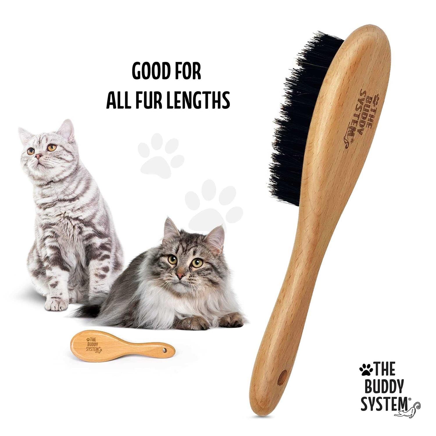 Cat Brush with Boar Bristle and Wooden Handle for Daily Grooming E333