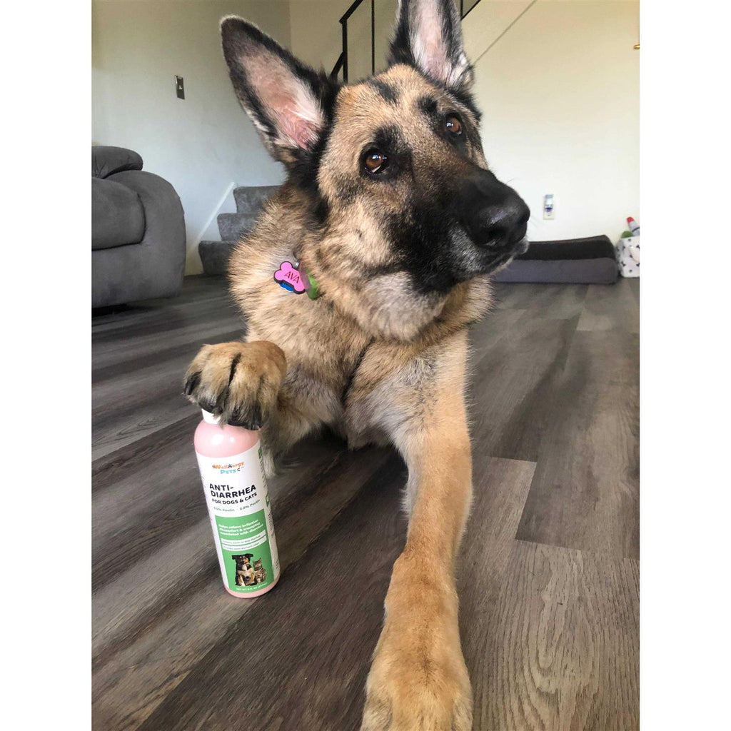 Anti-Diarrhea for Dogs & Cats U2858