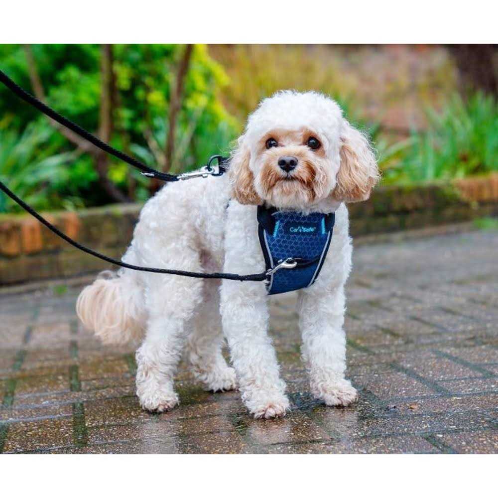 Crash Tested Dog Harness K5165