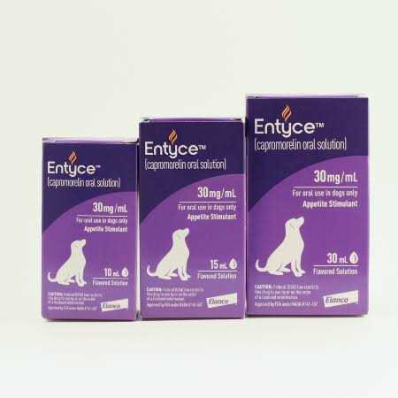 Oral Solution for Dogs C48284