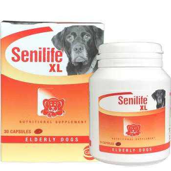 Nutritional Supplement for Elderly Dogs H774