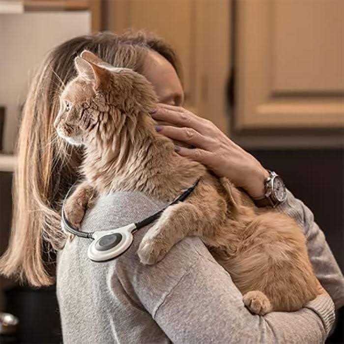 Manual Pet Supplies L949126