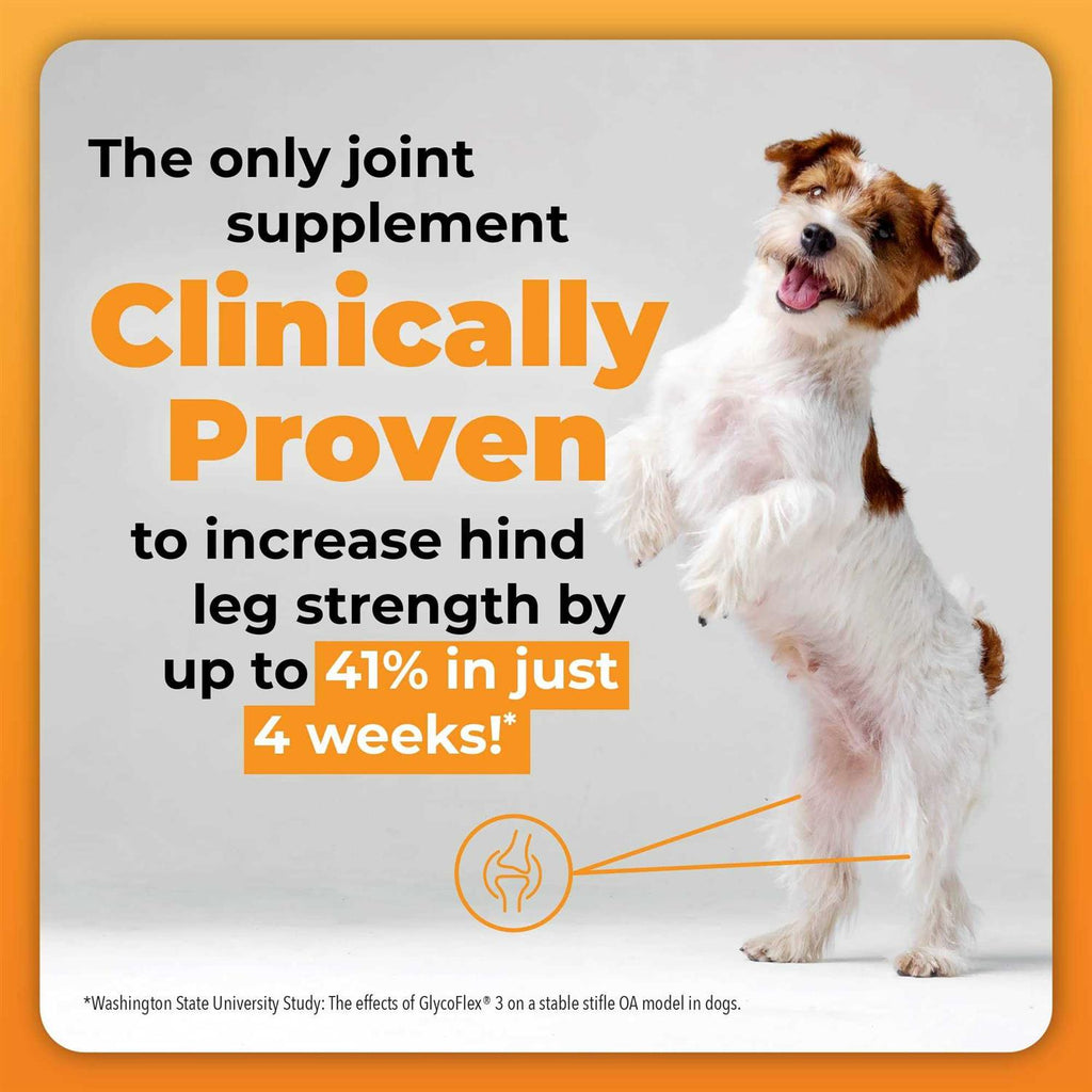 Joint Care Chews for Dogs B133004