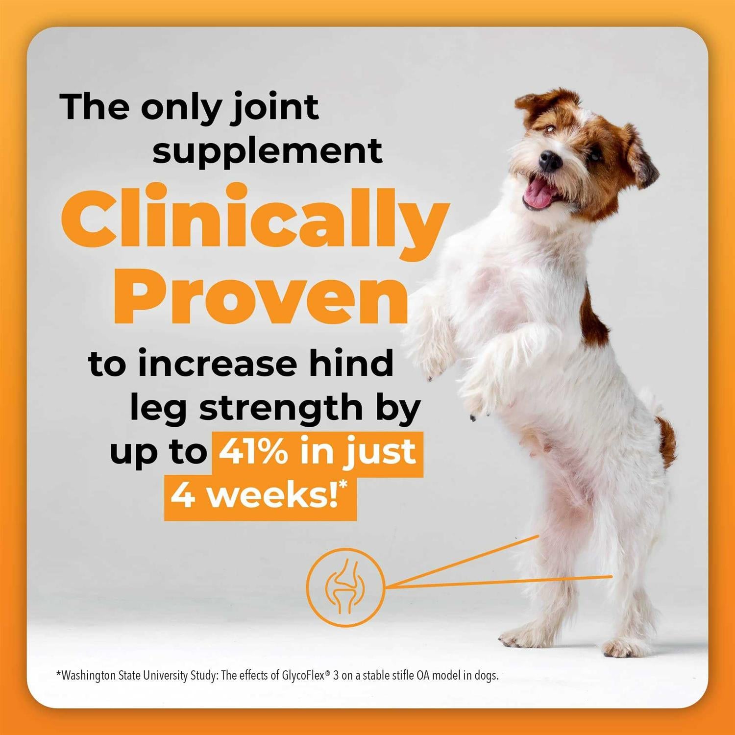 Joint Care Chews for Dogs B133004