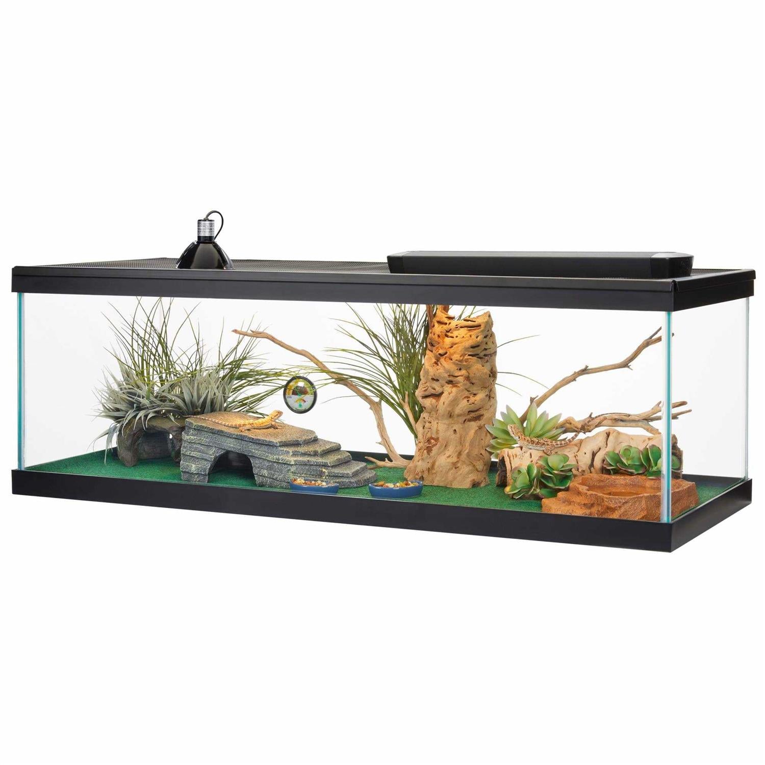 Glass Rectangle Aquarium K691564