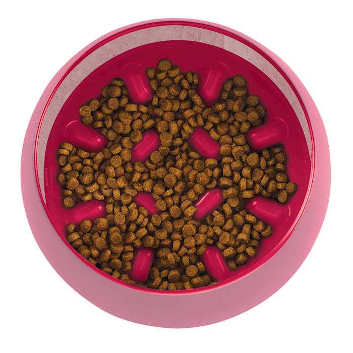 Rocking Slow Feeder Dog Bowl R9870