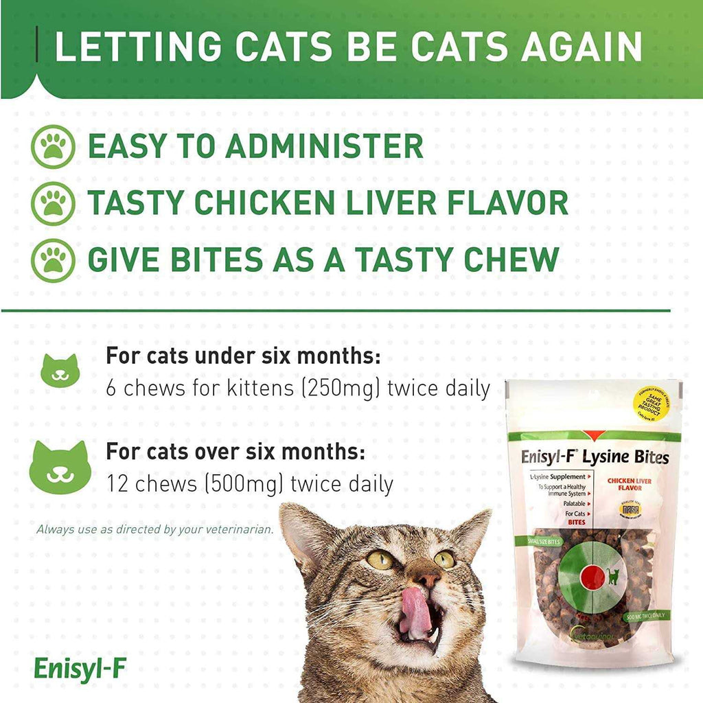 Lysine Bites for Cats & Kittens Q290232