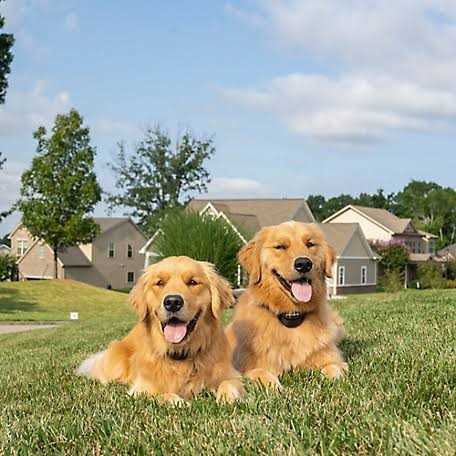 Wireless Pet Fence U2453