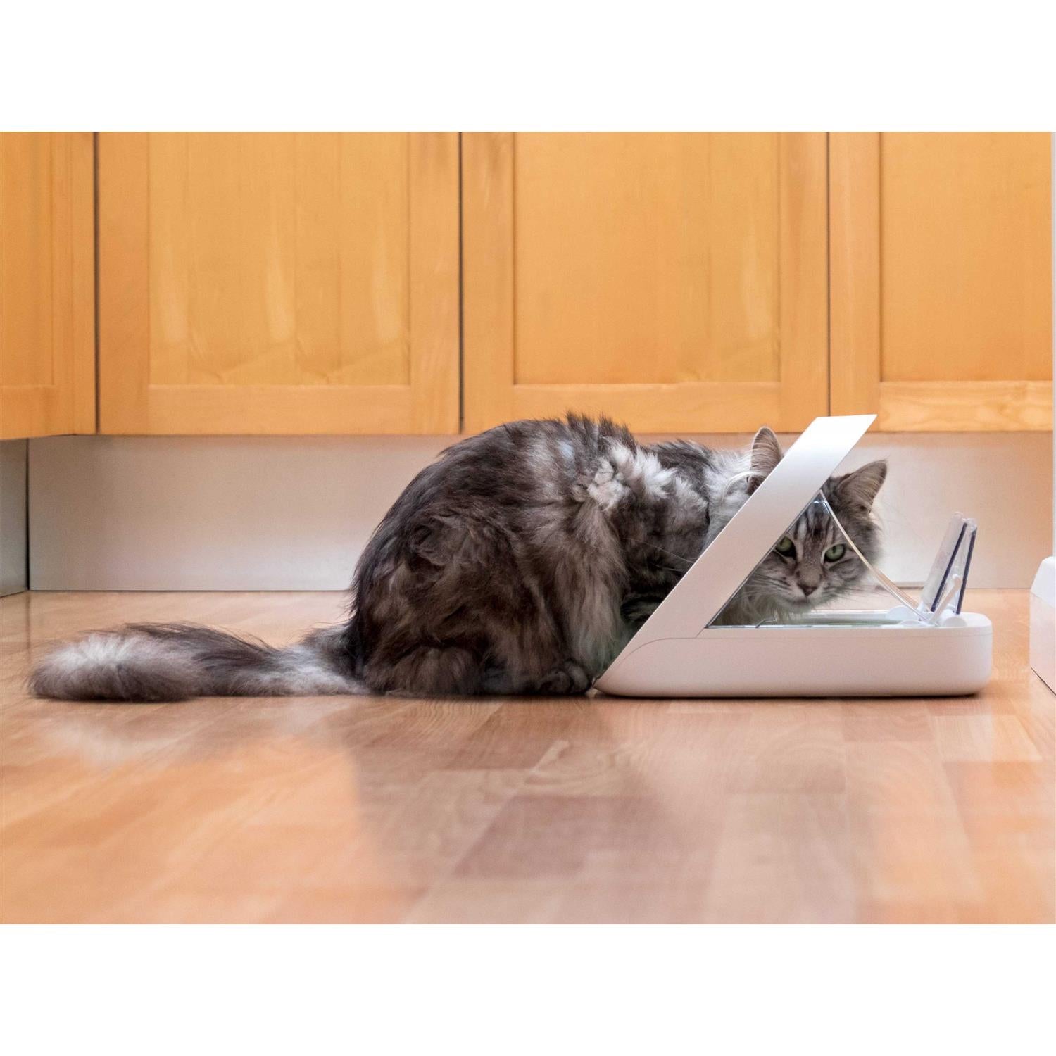 Microchip Pet Feeder Q12524