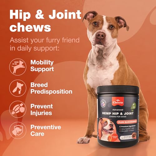 Glucosamine Chondroitin Dog Chews with MSM for Hip and Joint Health D5560