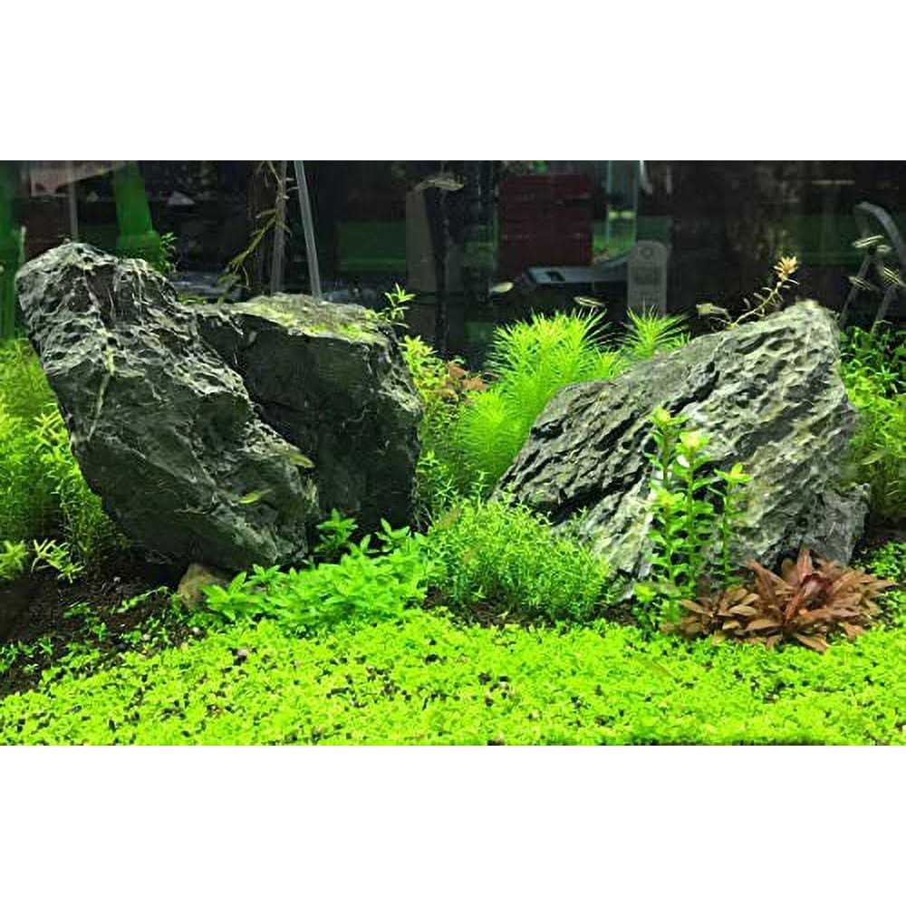 Flourish Tabs for Aquarium Plants D14035