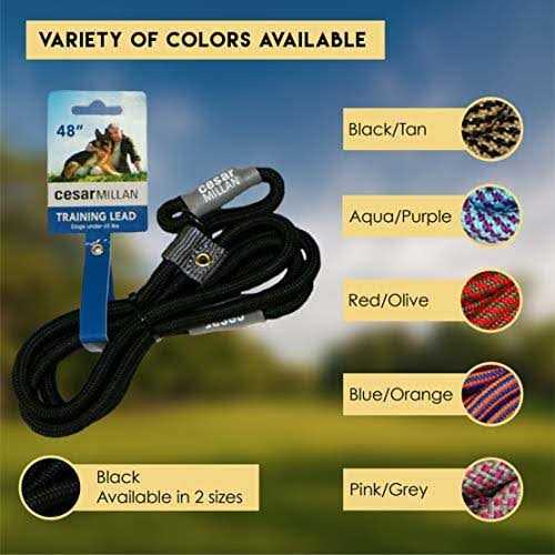 Dog Training Slip Lead Leash 2-in-1 Collar B4699