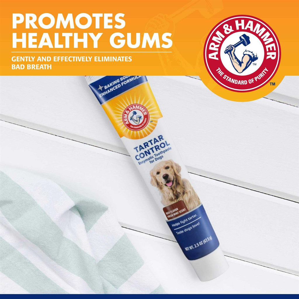 Tartar Control Enzymatic Toothpaste for Dogs T70324
