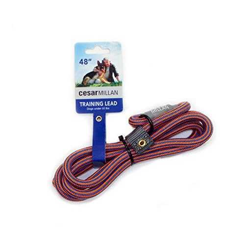 Dog Training Slip Lead Leash 2-in-1 Collar B4699