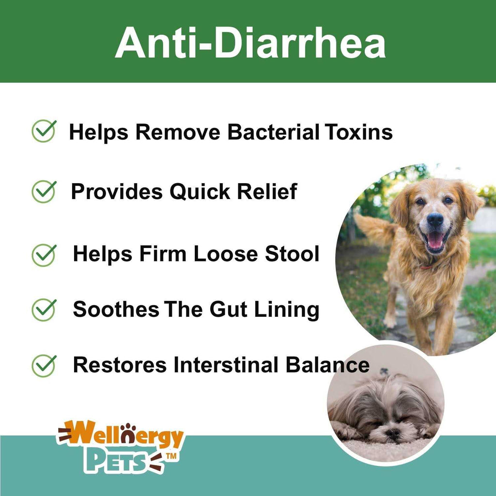 Anti-Diarrhea for Dogs & Cats U2858